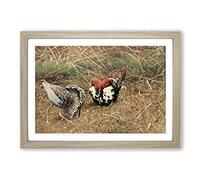 Vintage W Kuhnert Ruff Framed Print | A2 Oak Framed Wall Art | Ready to Hang | Classic Nature Picture | Living Room Bedroom Lounge Office