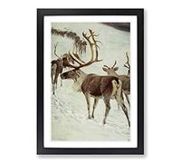 Vintage W Kuhnert Skandinavian Reindeer Framed Print | A2 Black Framed Wall Art | Ready to Hang | Classic Nature Picture | Living Room Bedroom Lounge Office