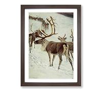 Vintage W Kuhnert Skandinavian Reindeer Framed Print | A2 Walnut Framed Wall Art | Ready to Hang | Classic Nature Picture | Living Room Bedroom Lounge Office