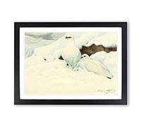 Vintage W Kuhnert Snow Grouse Framed Print | A2 Black Framed Wall Art | Ready to Hang | Classic Landscape Picture | Living Room Bedroom Lounge Office