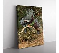 Vintage W Kuhnert Victoria Crowned Pigeon Vintage Canvas Wall Art Print Ready to Hang, Framed Picture for Living Room Bedroom Home Office Décor, 76x50 cm (30x20 Inch)