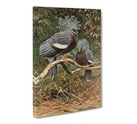 Vintage W Kuhnert Victoria Crowned Pigeon Vintage Canvas Wall Art Print Ready to Hang, Framed Picture for Living Room Bedroom Home Office Décor, 30x20 Inch (76x50 cm)