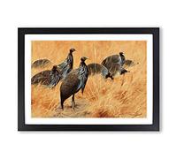 Vintage W Kuhnert Vulture Guinea-Fowl Framed Print | A2 Black Framed Wall Art | Ready to Hang | Classic Nature Picture | Living Room Bedroom Lounge Office