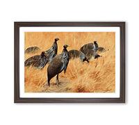 Vintage W Kuhnert Vulture Guinea-Fowl Framed Print | A2 Walnut Framed Wall Art | Ready to Hang | Classic Nature Picture | Living Room Bedroom Lounge Office
