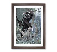 Vintage W Kuhnert White Handed Gibbon Vintage Framed Wall Art Print, Ready to Hang Picture for Living Room Bedroom Home Office Décor, Walnut A2 (64 x 46 cm)