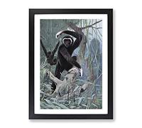 Vintage W Kuhnert White Handed Gibbon Vintage Framed Wall Art Print, Ready to Hang Picture for Living Room Bedroom Home Office Décor, Black A2 (64 x 46 cm)