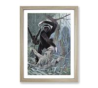 Vintage W Kuhnert White Handed Gibbon Vintage Framed Wall Art Print, Ready to Hang Picture for Living Room Bedroom Home Office Décor, Oak A3 (34 x 46 cm)