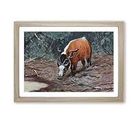 Vintage W Kuhnert Wild Hog Framed Print | A2 Oak Framed Wall Art | Ready to Hang | Classic Nature Picture | Living Room Bedroom Lounge Office