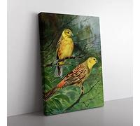 Vintage W Kuhnert Yellow Bunting Vintage Canvas Wall Art Print Ready to Hang, Framed Picture for Living Room Bedroom Home Office Décor, 50x35 cm (20x14 Inch)