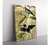 Vintage Walter Heubach Paradise Tanager Vintage Canvas Wall Art Print Ready to Hang, Framed Picture for Living Room Bedroom Home Office Décor, 76x50 cm (30x20 Inch)