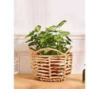 Vintage Water Hyacinth Medium Open Weave Wicker Scalloped Planter Basket (Dia) 18cm, (H)25cm Dibor Natural Medium