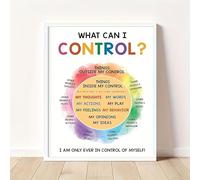 Vintage What Can I Control, Emotions Chart Kids Aluminium Metal Tin Sign Tin Poster Wall Are Decor New 8"x12"