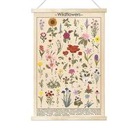Vintage Wildflowers Poster Botanical Wall Art Prints Colorful Rustic Style of Floral Wall Hanging Illustrative Reference Flower Chart Poster for Living Room Office Classroom Bedroom Playroom Dining