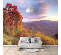 Vintage Wooden Cowboy Boots Art 3D Wallpaper Easy Install Feature Office Living Room Sofa Bedroom TV Background Wall Decoration-430cm×300cm