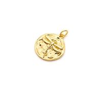 Vintageparts Pendant Coin Charms with Dragonfly Made of Brass with 18 Carat Gold Plating 1 Piece for Jewellery Making Yourself