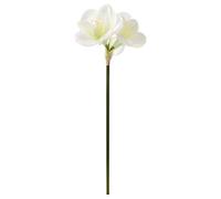 VINTERFINT Artificial flower, in/outdoor/Amaryllis white, 60 cm