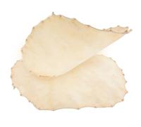 VINTORKY 2pcs Drum Covers Replacement Drum Heads for African Leather Surface Conga Hand for Percussion Performance