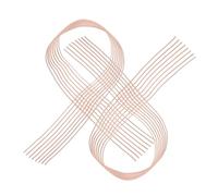 VINTORKY 2pcs Reinforced Elastic Ballet Shoe Ribbon Straps for Pointe Shoes Invisible Stretch Bands for Women Dancers Flexible Support and Stability for Beginners and Advanced Ballet