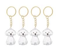 VINTORKY 4pcs Pet Memorial Gifts for Dogs Refillable Dog Hair Keepsake Keychains with Portable Abs Display Ornament, for Mourning the Passing a Furry Friend and Commemorative Display