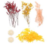 VINTORKY DIY Real Dried Pressed Flowers Set for Resin Crafting, Floral Decoration Materials Pack with Mixed Late Spring Blooms, Natural Dry Flowers for Candle Making and Home Decor