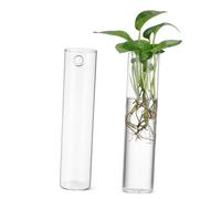 VINTORKY Large Round Tube Propagation Station 2Pcs Glass Wall for Indoor Plants Hydroponics Floral Arrangements Decor