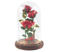 VINTORKY LED Rose Glass Dome Light with Preserved Flower, Long Lifespan and Low Consumption Table Lamp for Home Decoration, Romantic Red Flower in Glass Dome for Valentine's Day Gift