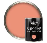 Vintro Luxury Matt Emulsion Terracotta, Multi Surface Paint For Walls, Ceilings, Wood, Metal - 1L (Porto Terracotta)