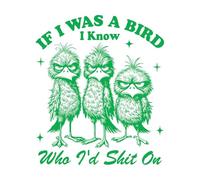 Vinyl Art Sticker If I were a Bird I Know who I am Silly Goose 42x49.1cm Multiple Size Options Green