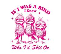 Vinyl Art Sticker If I were a Bird I Know who I am Silly Goose 54.6x63.8cm Equipped with Transfer Film kit Rosered