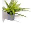VINYL FLOORING UK White Anti-Slip Plain Effect Anti-Slip Vinyl Flooring for LivingRoom Hallways Kitchen 2.0mm Thick Cushion Backed Waterproof Linoleum Flooring-2m(6'6") X 3m(9'9")-6m²