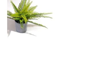 VINYL FLOORING UK White Anti-Slip Plain Effect Anti-Slip Vinyl Flooring for LivingRoom Hallways Kitchen 2.0mm Thick Cushion Backed Waterproof Linoleum Flooring-2m(6'6") X 2m(6'6")-4m²