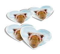 Vinyl Heart Stickers (Set of 4) - Grumpy Ostrich Bird Fun Decals for Laptops,Tablets,Luggage,Scrap Booking,Fridges #8957