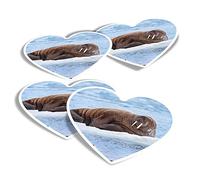 Vinyl Heart Stickers (Set of 4) - Wild Walrus Snow Arctic North Pole Animal Fun Decals for Laptops,Tablets,Luggage,Scrap Booking,Fridges #24403
