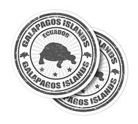 Vinyl Round Stickers (Set of 2) 10cm - BW - Galapagos Islands Turtle Ecuador for Laptops, Tablets, Luggage, Scrap Booking, Fridges #39900