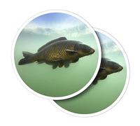 Vinyl Round Stickers (Set of 2) 10cm - Common Carp Fish River Fishing for Laptops, Tablets, Luggage, Scrap Booking, Fridges #50589