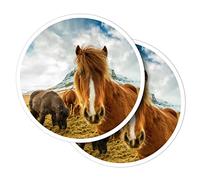 Vinyl Round Stickers (Set of 2) 10cm - Icelandic Ponies Horses Iceland for Laptops, Tablets, Luggage, Scrap Booking, Fridges #51221