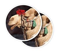 Vinyl Round Stickers (Set of 2) 15cm - Pretty Camel Portrait Animal for Laptops, Tablets, Luggage, Scrap Booking, Fridges #51783