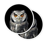 Vinyl Round Stickers (Set of 2) 15cm - Snowy Owl White Faced Bird for Laptops, Tablets, Luggage, Scrap Booking, Fridges #50078