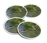 Vinyl Round Stickers (Set of 4) 10cm - Eurasian Common Kingfisher Bird for Laptops, Tablets, Luggage, Scrap Booking, Fridges #50835