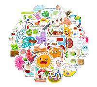 Vinyl Stickers Pack Biology Medical Science Education lab Learning Fun Cartoon Waterproof Decals 50 pcs for Laptop Water Bottle Suitcase Skateboard Journal for Kids