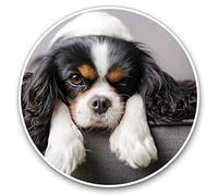 Vinyl Stickers (Set of 2) 10cm - Cavalier King Charles Spaniel Dog Decals for Laptops,Tablets,Luggage,Scrap Booking,Fridges, 12388
