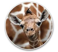 Vinyl Stickers (Set of 2) 15cm - Cute Baby Giraffe Face Wildlife Laptop Tablet Luggage Scrapbook #12323