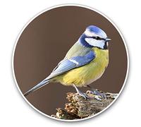 Vinyl Stickers (Set of 2) 15cm - Small Blue Tit Bird Garden England 15773