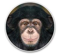 Vinyl Stickers (Set of 2) 20cm - Cheeky Chimpanzee Monkey Laptop Tablet Luggage Scrapbook #14240