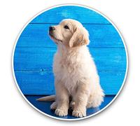 Vinyl Stickers (Set of 2) 25cm - Golden Retriever Labrador Puppy #15837