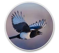 Vinyl Stickers (Set of 2) 7.5cm - Flying Eurasian Magpie Bird #3454