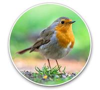 Vinyl Stickers (Set of 2) 7.5cm - Garden Robin Bird Birds Christmas #15509