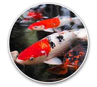 Vinyl Stickers (Set of 2) 7.5cm - Koi Carp Pond Fish Japanese #21765