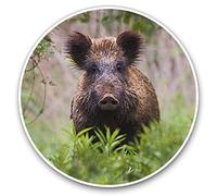 Vinyl Stickers (Set of 2) 7.5cm - Wild Boar Sus Scrofa Hog Pig Piglet Animal #24437