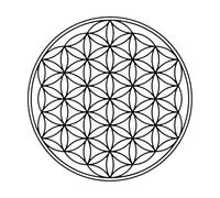 Vinyl Wall Decals Flower of Life Overlapping Circles Grid Geometric Pattern Symbol 54x54cm Store Decoration Black